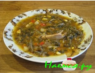 Зеленый борщ со щавелем