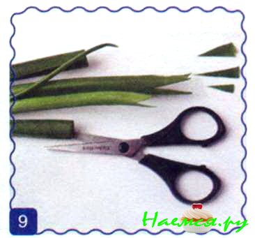 Белые цветы из дайкона