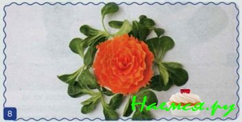 Гвоздика из моркови