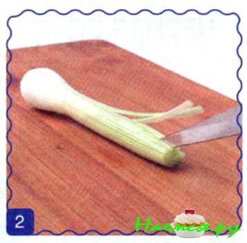 Хризантема из лука