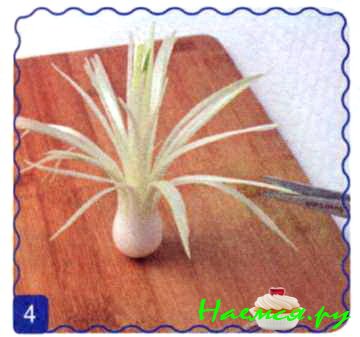 Хризантема из лука