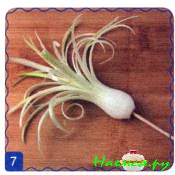 Хризантема из лука