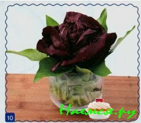 Черная роза