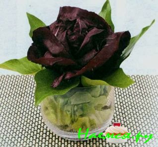 Черная роза