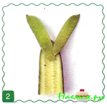 Заяц из огурца