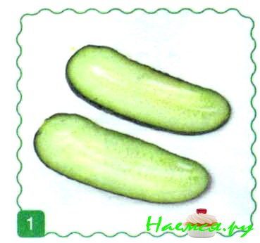 Заяц из перца