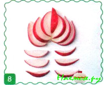 Пчелки и клевер