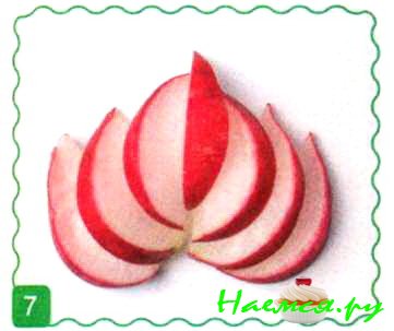 Пчелки и клевер