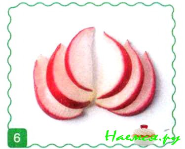 Пчелки и клевер