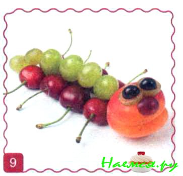 Сороконожка