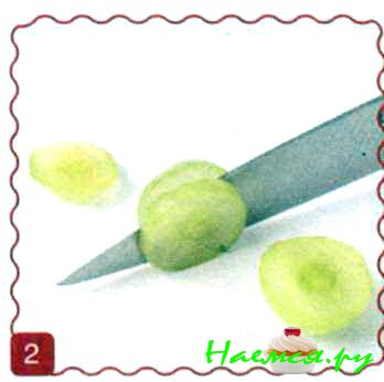 Сороконожка