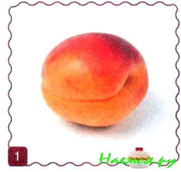 Сороконожка