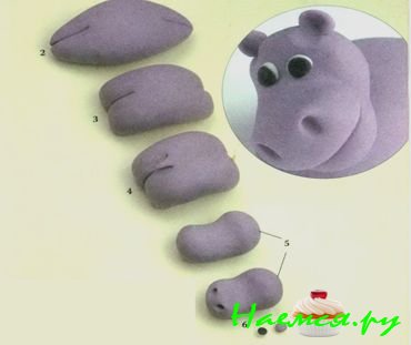 Гиппопотам