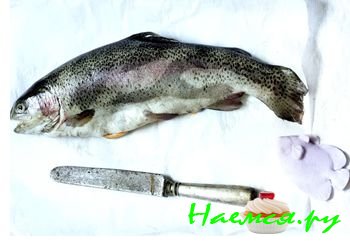 Я и моя мультиварка. Полезные мелочи и хитрости о мультиварке 