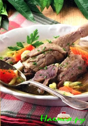 Суп из гуся