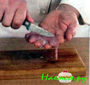 Почки с мозгами