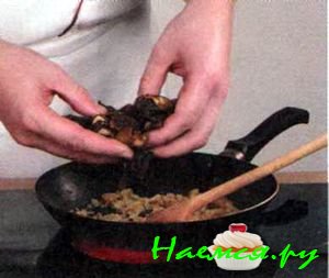 Белые грибы в сметане