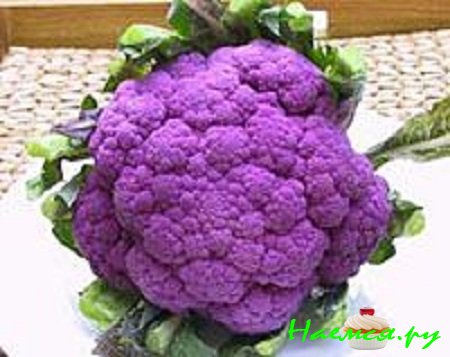 Пурпурная брокколи и овсяный корень с каперсовым маслом