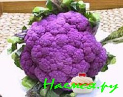 Пурпурная брокколи и овсяный корень с каперсовым маслом