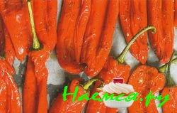 Маринованные перцы романо с моцареллой из буйволиного молока