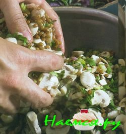 Цельная пшеница с грибами, шалотом и сельдереем