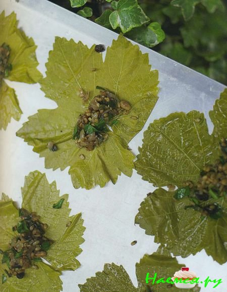 Фаршированные виноградные листья по рецепту Тамары