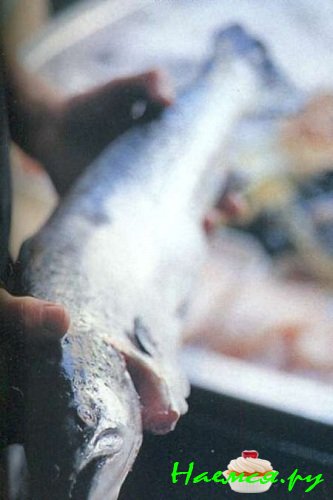 ГЛАЗГО и ЭДИНБУРГ