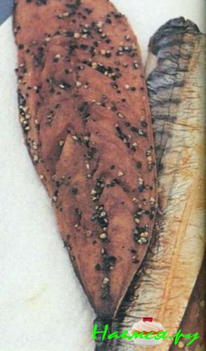 ГЛАЗГО и ЭДИНБУРГ