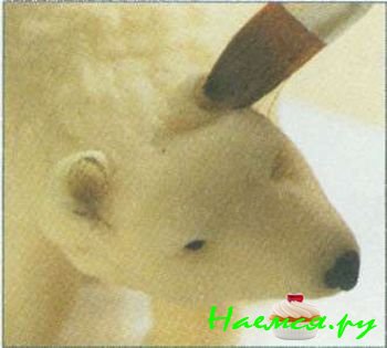 ТЕХНИКИ ОКРАШИВАНИЯ МАСТИКИ