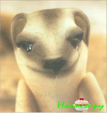 Сурикат из мастики