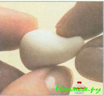 Лиса из мастики