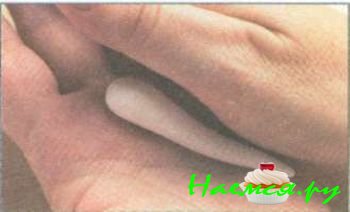 Лев из мастики