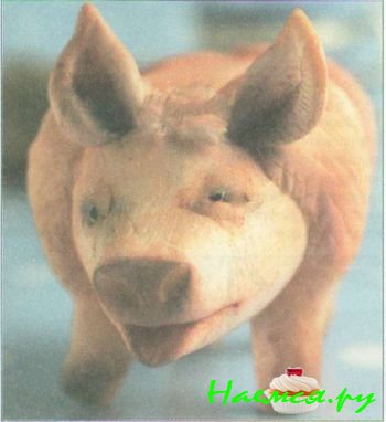 Свинья из мастики