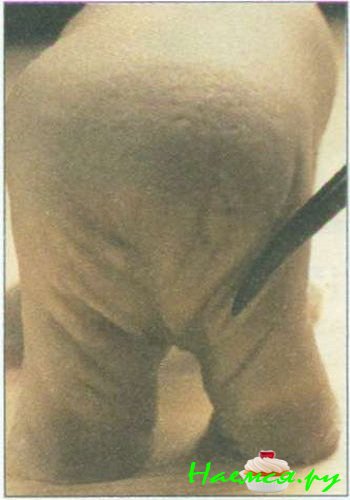 Носорог из мастики