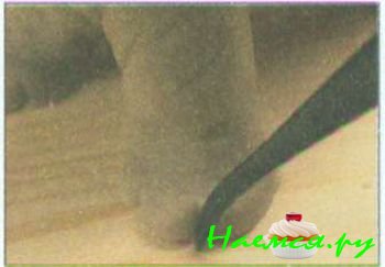 Носорог из мастики