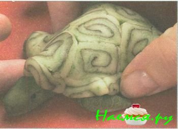 Черепаха из мастики