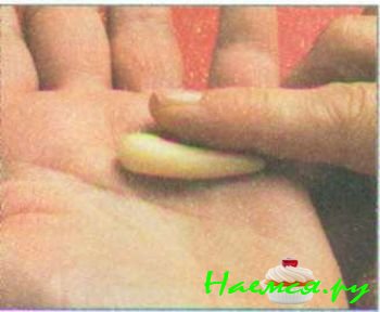 Черепаха из мастики