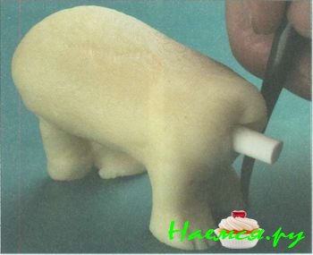 Полярный медведь из мастики