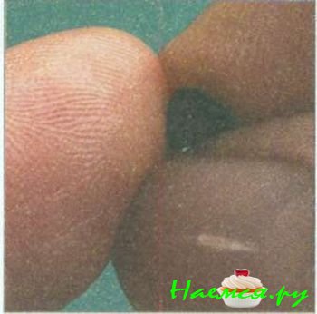 Полярный медведь из мастики