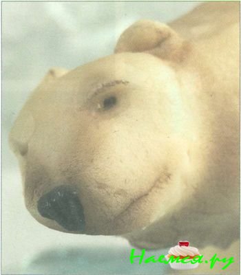 Полярный медведь из мастики