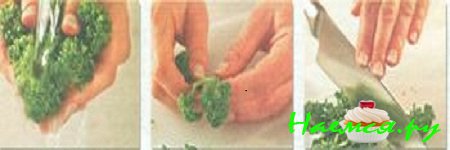 ПРЯНАЯ ЗЕЛЕНЬ И ПРЯНОСТИ