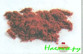 ТРАВЫ И ПРЯНОСТИ В КУЛИНАРИИ