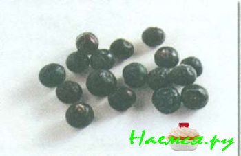 ТРАВЫ И ПРЯНОСТИ В КУЛИНАРИИ