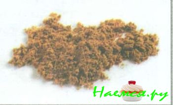 ТРАВЫ И ПРЯНОСТИ В КУЛИНАРИИ