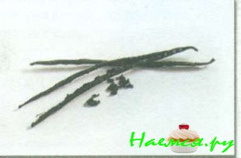 ТРАВЫ И ПРЯНОСТИ В КУЛИНАРИИ