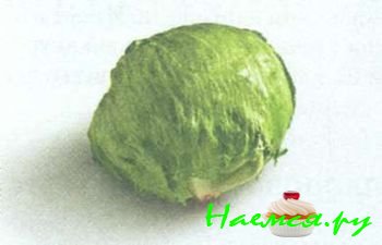 ПОПУЛЯРНЫЕ СОРТА САЛАТА 