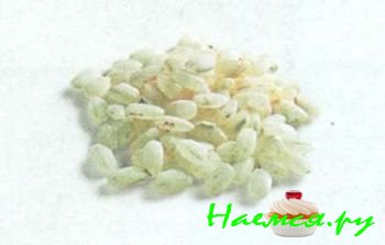 ПОПУЛЯРНЫЕ СОРТА РИСА 