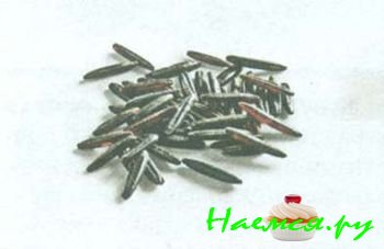 ПОПУЛЯРНЫЕ СОРТА РИСА 