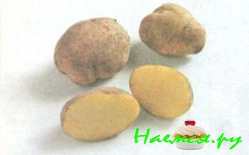 ЛУЧШИЕ СОРТА КАРТОФЕЛЯ 