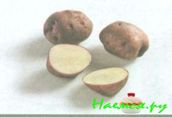 ЛУЧШИЕ СОРТА КАРТОФЕЛЯ 